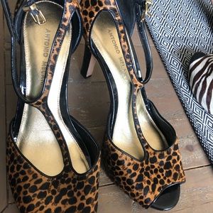 Antonio Melani pumps- cheetah 🐆